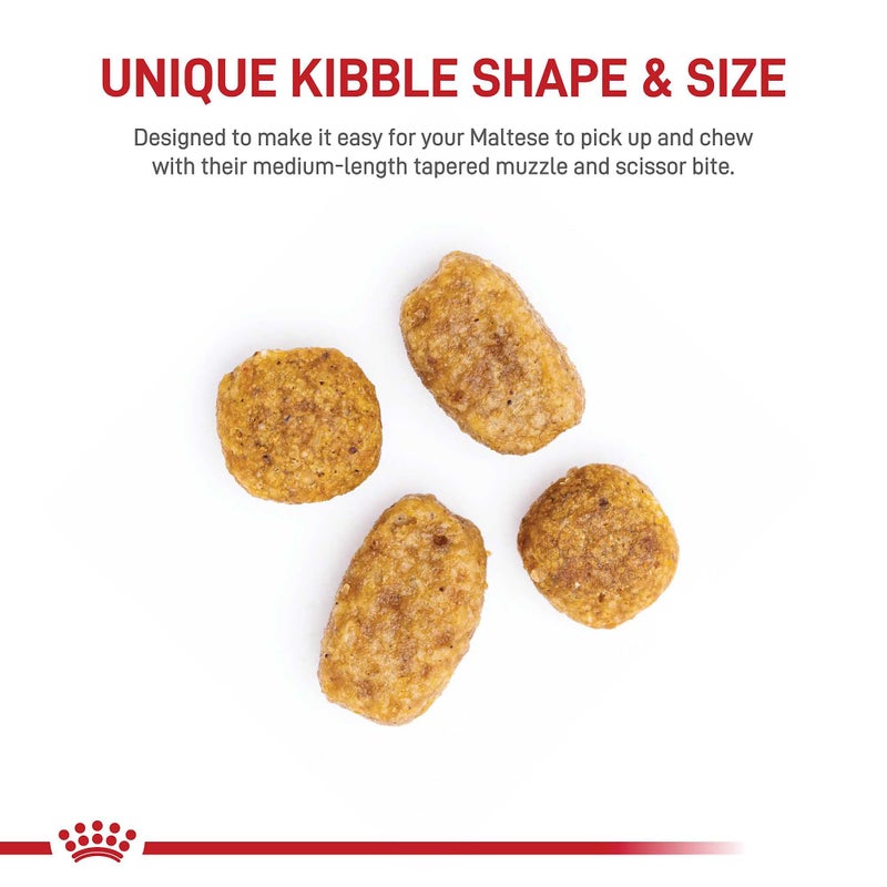 Royal Canin Breed Health Nutrition Maltese Adult Dry Dog Food, 10 lb Bag - Image 2